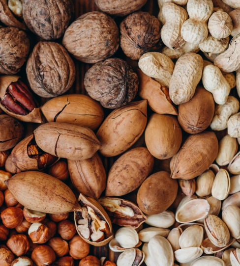 brown-and-beige-nut-lot.jpg brown and beige nut lot