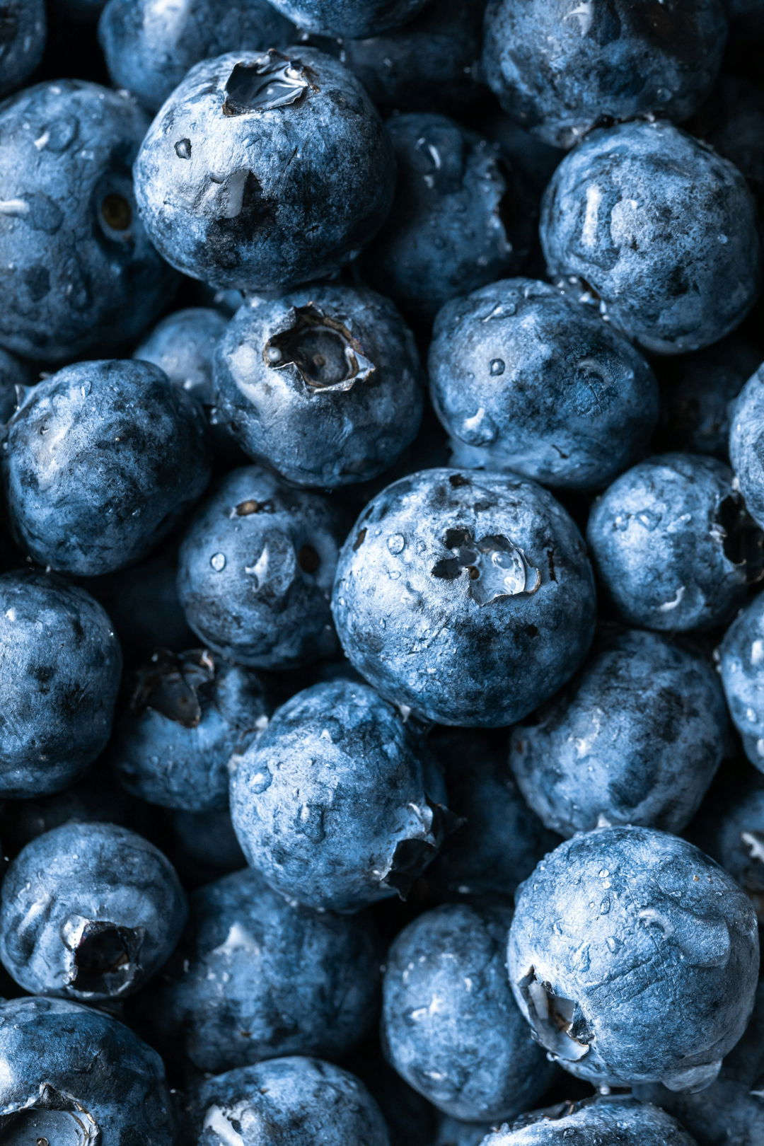 grayscale-photography-of-round-fruits.jpg grayscale photography of round fruits
